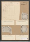 Campylodiscus kittonianus Grev. (de-Toni-Nr.: Genus 57, Species 2510) Zeichnungen Sammlung Grunow Nr. 5022 (NHMW-BOT-W0373277)